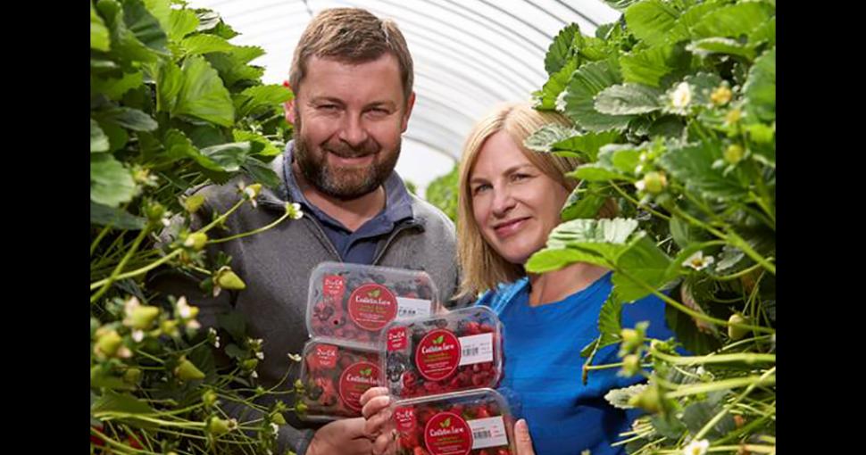 Aberdeenshire Fruit Farm Unveils New Look